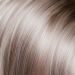 Platinum Grey Root ( 101/23/10+Root10)